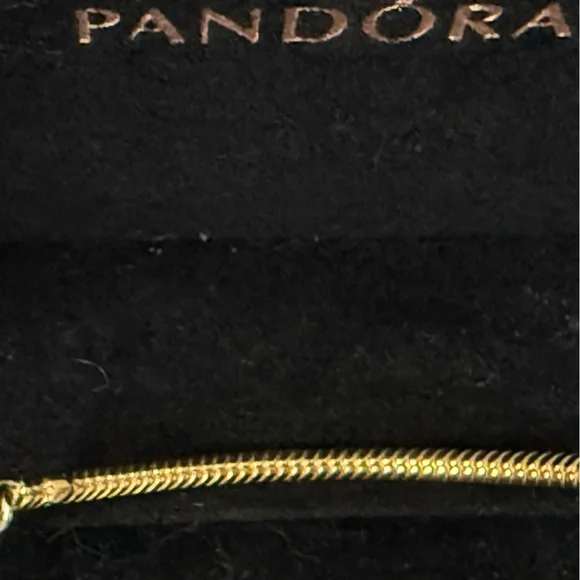 Pandora Two-Tone Gold and Silver Bracelet - Picture 2 of 3